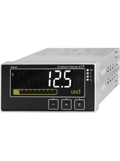 >RIA45 process indicator with control